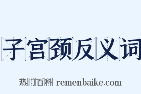 子宫颈反义词是什么意思的图片